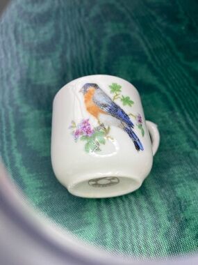 Vintage Germany Porcelain Demitasse Cup European Robin Bird Motif